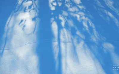 SPIRAL OF WINTER DAYS