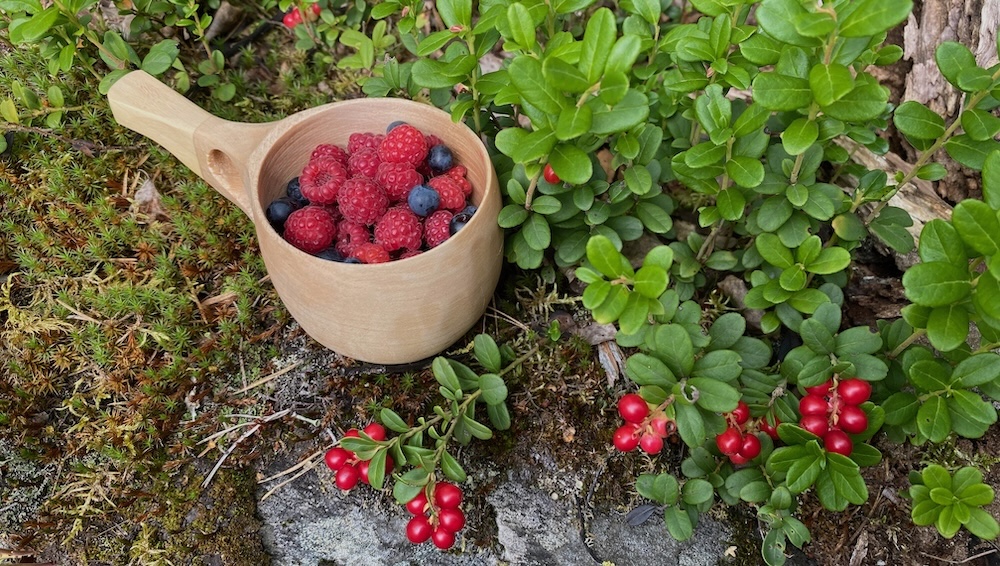 THE WILD PATH’S GATHERING BASKET